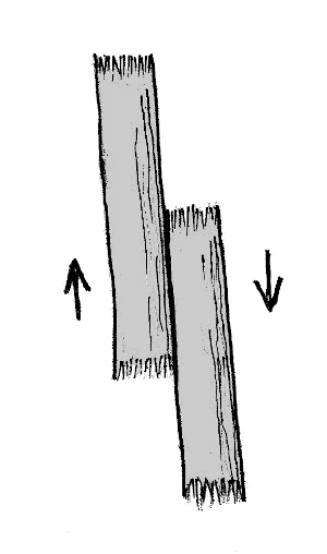 Sketch showing two fibers sliding past each other.