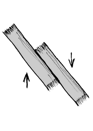 Sketch of two fibers with diagonal force pushing fibers together.