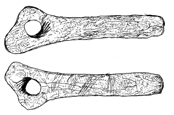 Sketch of a pierced baton from Gough's Cave.