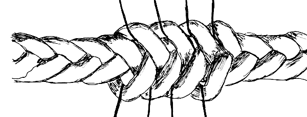 Sketch of eight strand plaited cord, pulled open perpendicular to long axis, showing
absence of crossing bands.