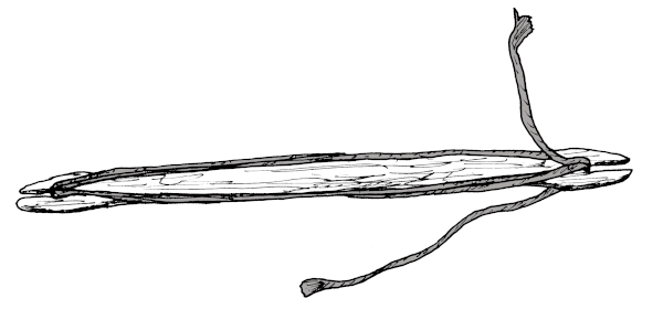 A sixteen inch long netting shuttle.